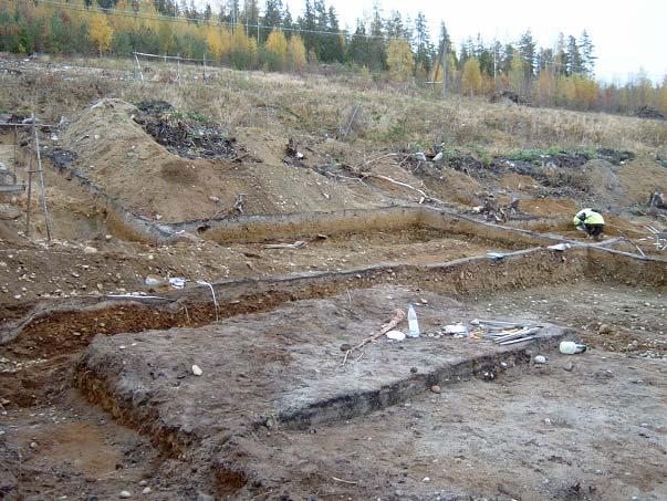 Analys av jordarter och lagerföljder inom Yta C och Yta A Rolf Zale BMG/Naturgeografi, Umeå universitet.