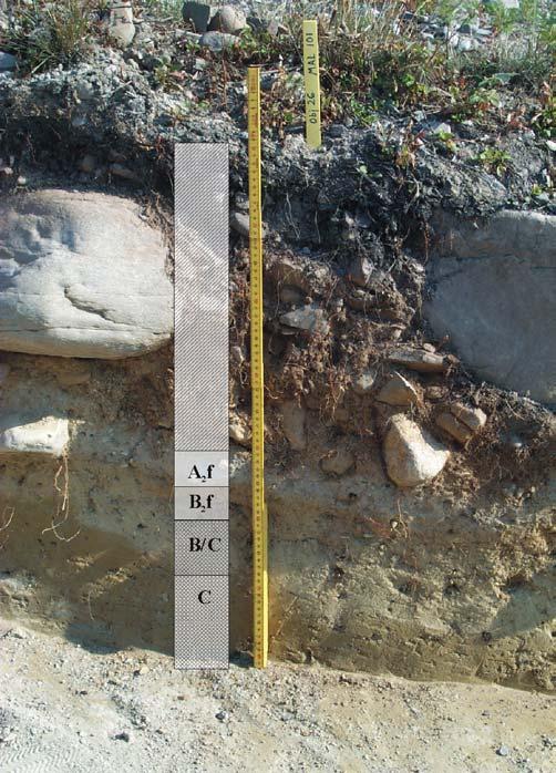 Miljöarkeologiska laboratoriets rapporter 2004-022. Figur 14. Stratigrafi 101, schakt 1, yta A, raä 306. 60.8 60.8 60.8 60.7 60.7 60.7 60.6 60.6 60.6 60.5 60.5 60.5 60.4 60.