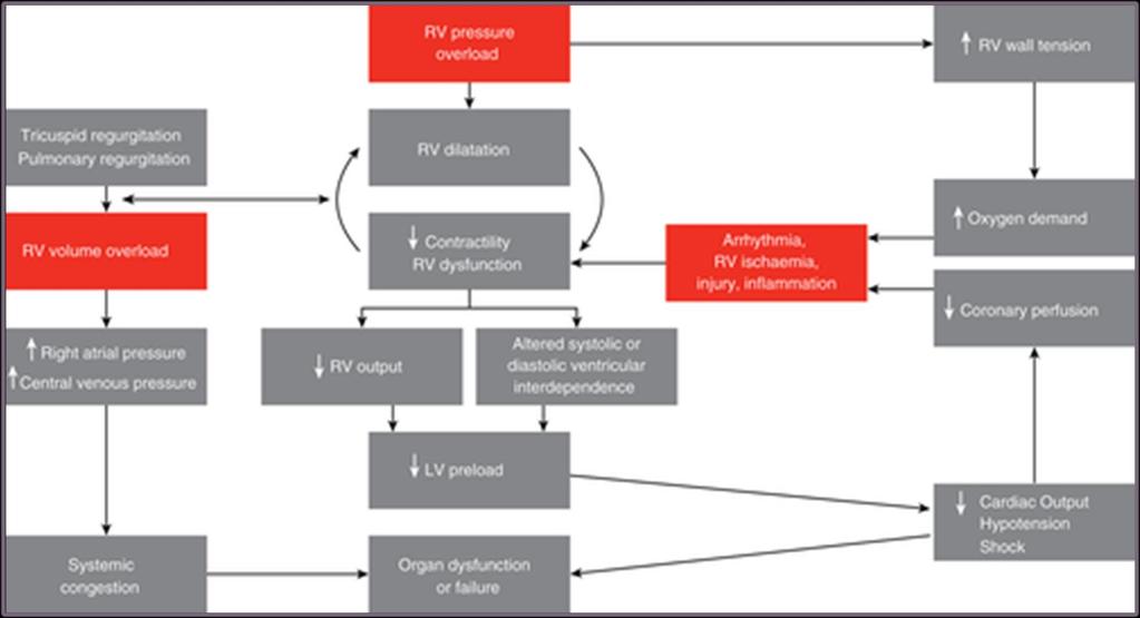 European Journal of Heart Failure, Volume: 18, Issue: 3,