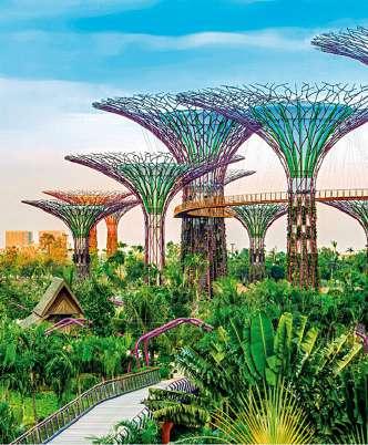 Tilläggsresa Singapore Välj att lämna Sverige några dagar tidigare och få tid i den unika staden med starka kontraster mellan skyskrapor och vajande palmer.