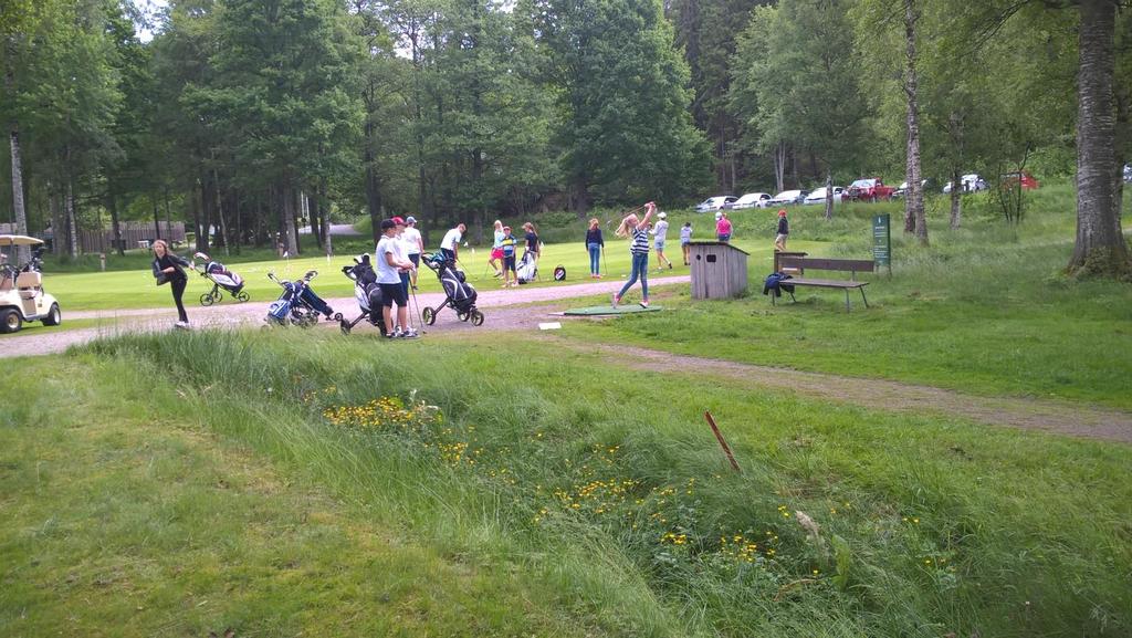 Juniorverksamheten inom Öijared GK Öijareds Golfklubb har ca 260 juniormedlemmar och varje år tränar ca 100 juniorer regelbundet i Juniorkommitténs regi.