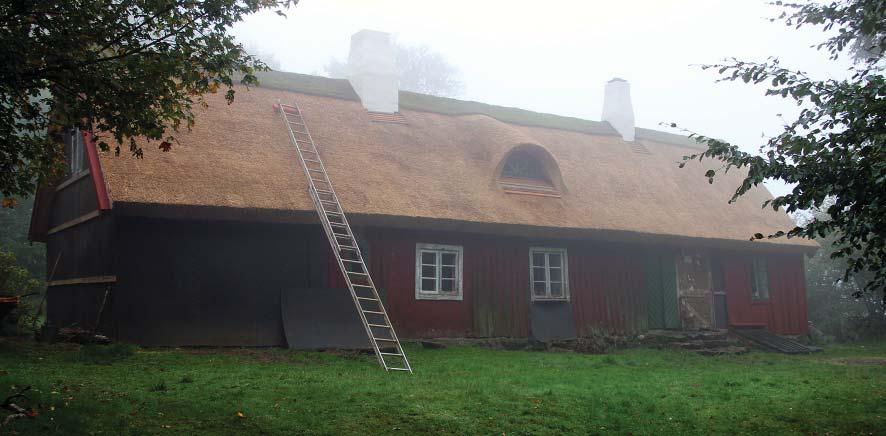 sent 1800-tal frånskildes som ett separat
