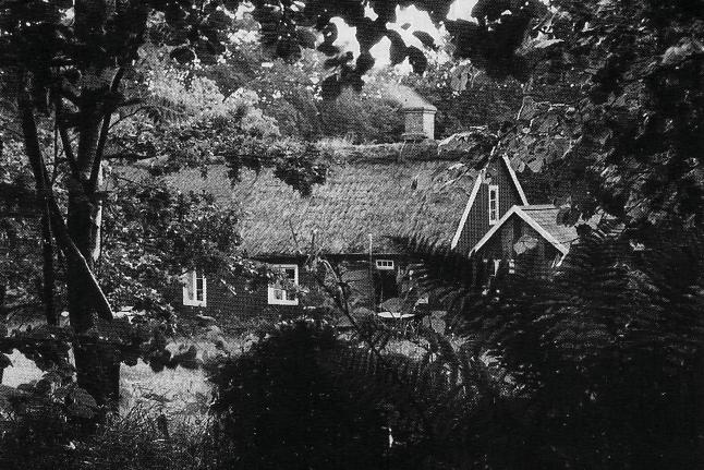 Ovan ses Himmelstorp nr 2 med äldre halmtak och torvryggning utan ryggaträn. Foto efter Lagerroth 1995.