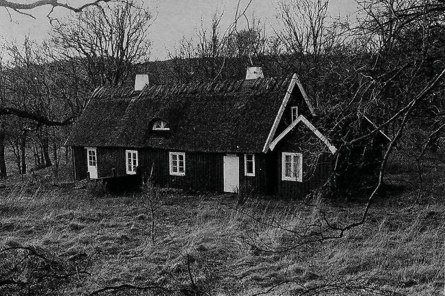Utförda åtgärder Det gamla vasstaket revs av och takstolarna reparerades.