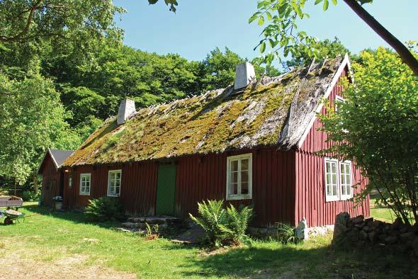 Det gamla vasstaket var i mycket dåligt skick. Stora hål hade uppstått i båda takfallen.