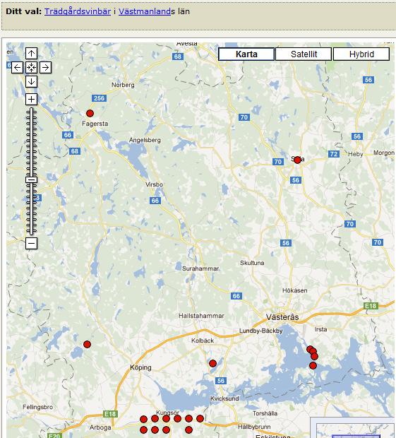 Skogsvinbär - Trädgårdsvinbär Fynd i Artportalen