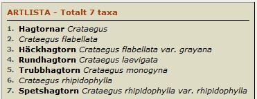 Hagtornar Crataegus 12 taxa i Träd och buskar i Sverige 25 taxa i DynTaxa!