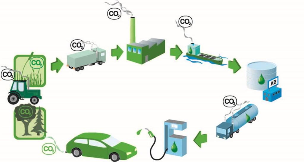 Biodrivmedel för flyget SOU 2019:11 Vad innebär en beräkning av livscykelutsläpp? En beräkning av livscykelutsläpp innebära att alla utsläpp i produktionskedjan räknas ihop, dvs.