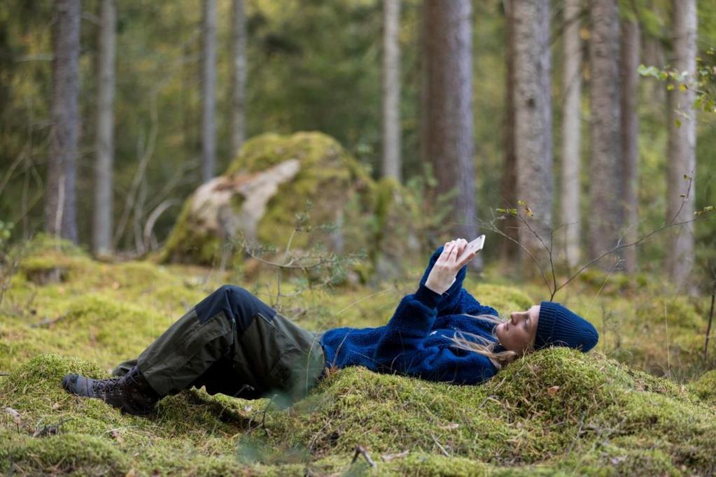 Utgångspunkter Hylte kommuns övergripande digitala strategi, Dnr