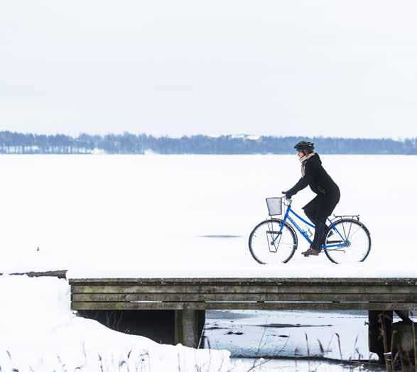 Cykelfrämjandets undersökning Växjö placerade sig på 14 plats av 53 kommuner i Cykelfrämjandets granskning och jämförelse om kommuners satsningar på cykling för 2018, samma placeringar som förra