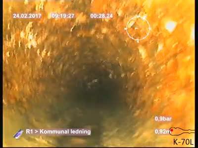Bildnamn: 1_2_A, Videotid: 29;18553s