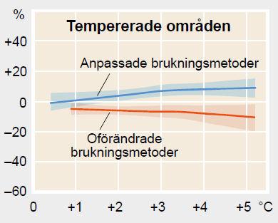 Ett förändrat klimat påverkan på odling Inverkan på veteskördar av förhöjd temperatur Anpassade brukningsmetoder Förändrad