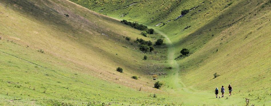 South Downs Way, Winchester - Eastbourne, 9 nätter 1(6) Vandra i England South Downs Way, 9 nätter Winchester - Eastbourne, 8 vandringsdagar South Downs Way i södra England är en populär vandringsled