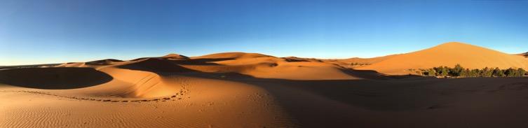 Först stenöken, därefter sand, sand och åter sand med någon enstaka växt i. Vägen tar slut och vi kör på sandstråk, det går inte alltid lika bra.