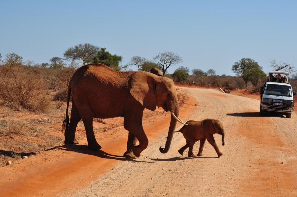 Välkommen med på Kenyaresan 2019 Avresa i november november Bästa resenär på Kenyaresan 2019! Du har nu framför dig ett mycket spännande dagsprogram över denna speciella resa som vi har framför oss.