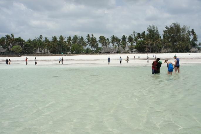 Dag 7-8 Hela dagar vid kusten. För den som vill organiseras snorklingsturer för att uppleva det marina djurlivet. Även stadsbesök i Mombasa med Fort Jesus från 1500-talet.