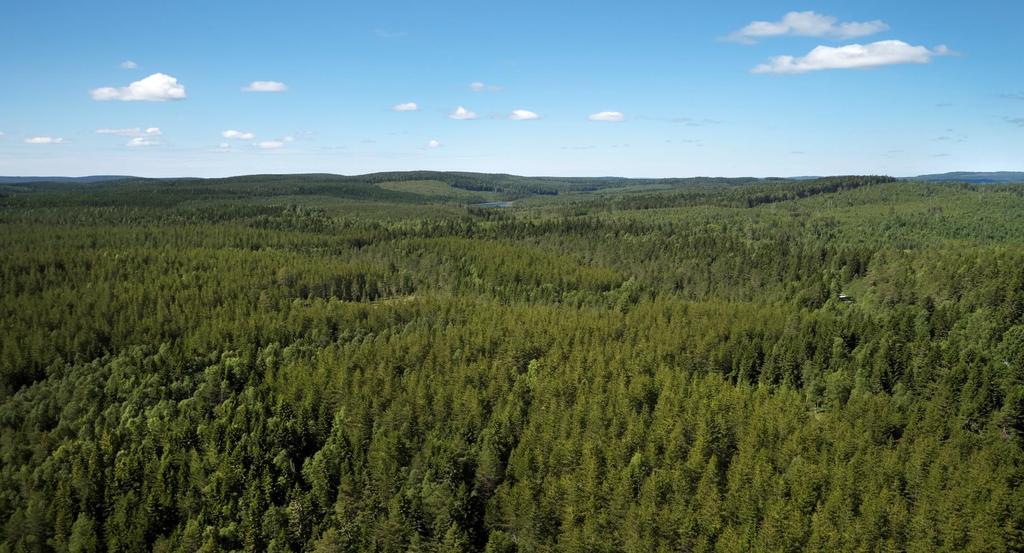 Q1 219 1 JANUARI 31 MARS 219 (jämfört med samma period föregående år) Nettoomsättningen ökade med 15 procent till 5 76 (4 4), vilket främst relaterade till högre volymer inom Massa och högre