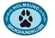 VERKSAMHETSPLAN HOLMSUND BRUKSHUNDKLUBB VISION OCH MÅLBESKRIVNING VISION Holmsund Brukshundklubb är en klubb där alla medlemmar är välkomna att trivas och utvecklas oavsett mål med hundägandet.