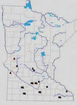 Southern MN Tillage Research Field size research Corn following soybeans 10 sites in 2004 and 2005 Four tillage