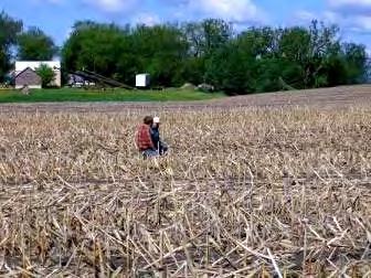 Concerns About Strip Till Soil won t