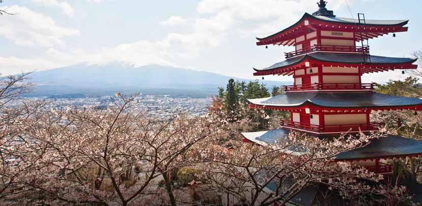 Club Eriks noga utvalda upplevelser Kryssning Japan och Sydkorea Vackert klätt i körsbärsblom Tokyo - Osaka - Mt Fuji - Kobe - Kyoto - Kochi - Aomori - Fukuoka - Busan Tillsammans upplever vi ett