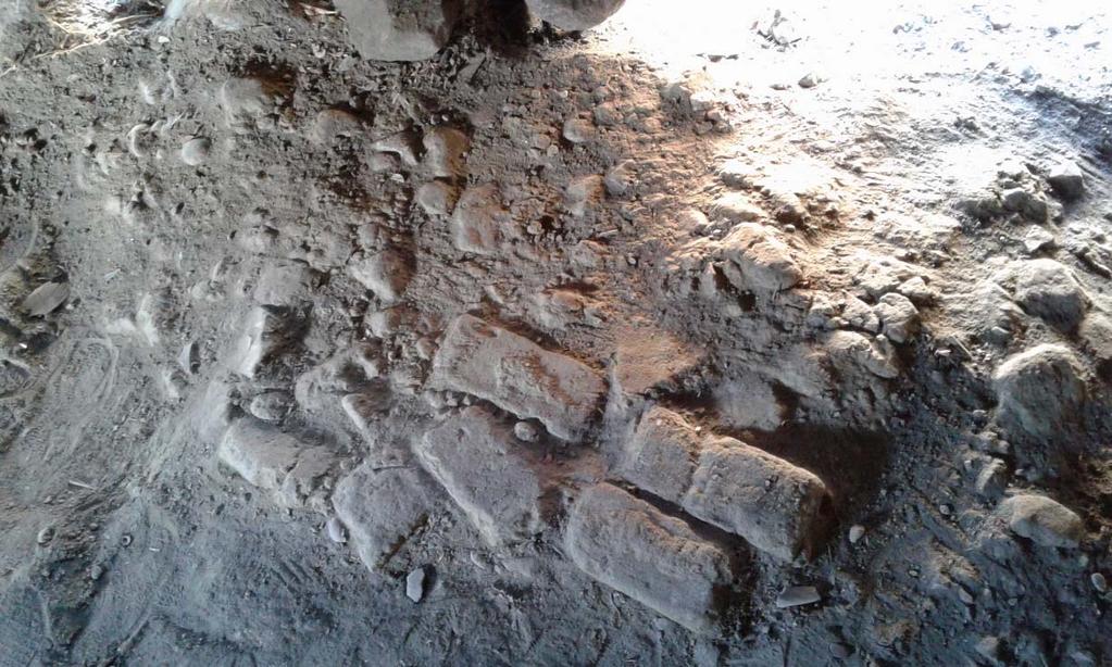Figur 9. Stenlagd yta under befintligt golv och ett tunt lager av jord. Några lertegel utgjorde även golv eller fundamentyta. Nordöstra rummet i Måketorp.