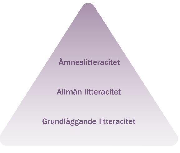 Arbeta med läsning i olika ämnen Ämnesspecifika lässtrategier Generella lässtrategier Avkodnings- och