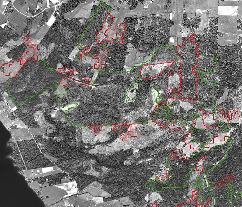 Figur 31 Exempel på svårtolkat och heterogent område strax söder om Kläppen. K-skog (grönt) och Ej k-skog (rött). Bildbakgrund är 60-tals ortofoto. 3.3 Tolkningstid Medelhastigheten för tolkningen var blev 1 293 ha/timme (Figur 32) vilket är nära målhastigheten på 1 300 ha/timme.