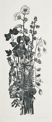 «Nature