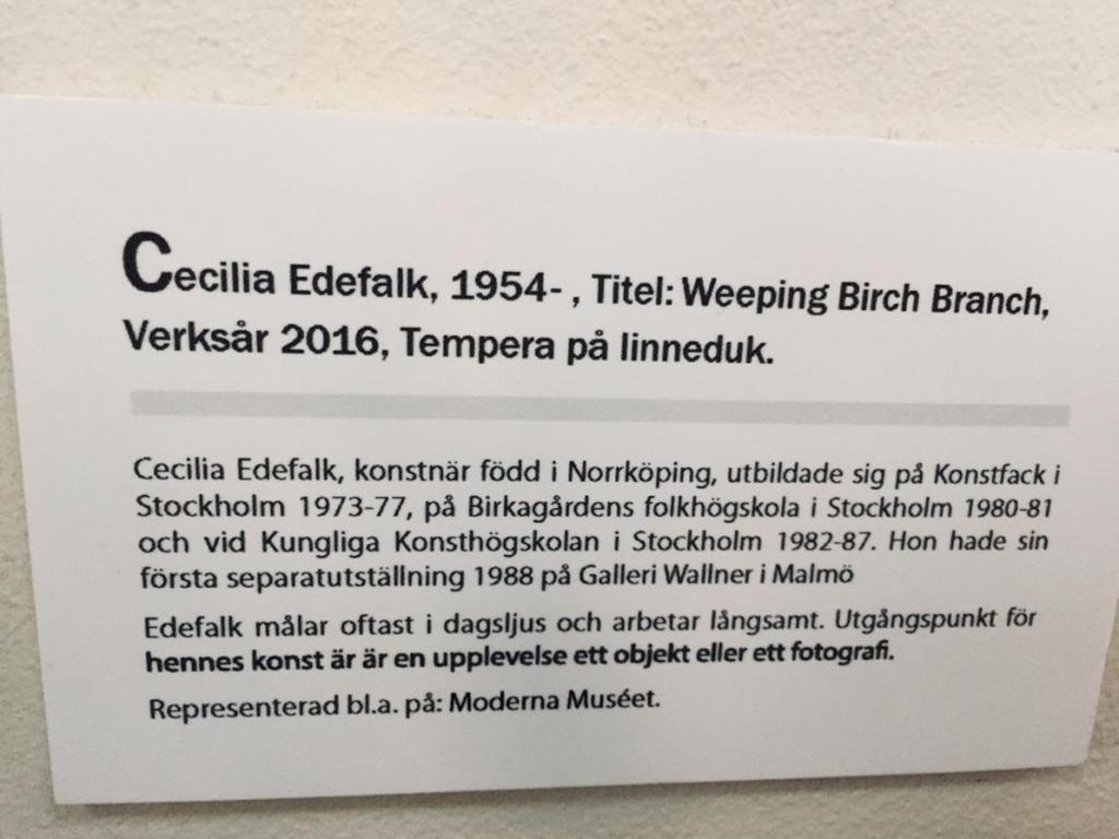 Cecilia Edefalk utbildade sig på Konstfack i Stockholm 1973-77, på Birkagårdens folkhögskola i Stockholm