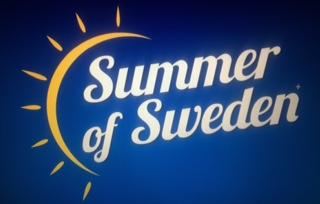 Svensk varumärkestidning 2019-06-18 169/33 45: Säkerhetstjänster; säkerhetstjänster för fysiskt skydd av materiell egendom och människor; information, rådgivning, konsulttjänster, riskhantering