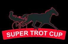 SUPE TOT UP 0 MAJ 0 TOLD THOMAS BEH. 0. MAILAND 07. 07. BELIN 07. 07. BADEN. 07. WOLVEGA. 07. JÄGESO. 07. SKIVE FINALE 0. 0. BELIN 70.000.