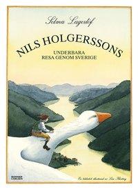 Nils Holgerssons underbara resa genom Sverige PDF ladda ner LADDA NER LÄSA Beskrivning Författare: Selma Lagerlöf.