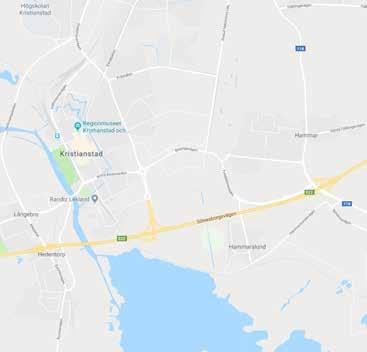 koppla av bland lövträd, blommor och sevärda fåglar.