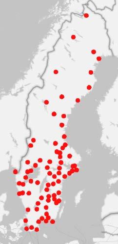 3.2 Tränarutbildning för målgruppen bredd och motion Bredd- och motionstränarutbildningen fortsatte under 2018 och deltagarna var väldigt nöjda.