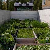Naim Kazi, Jag tycker utemiljöerna är okej, men ibland tycker jag att de som sköter planteringarna inte väljer blommor så noggrant.