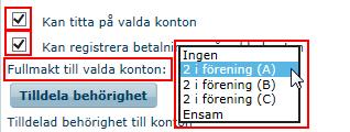 fullmakt väljas. Användaren kan godkänna betalningar: Ensam Eller 2 i förening med en kollega.