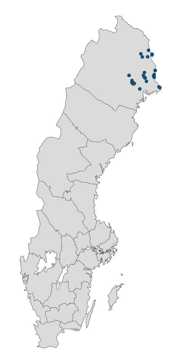 Utbredning och status Grön flodtrollslända är utbredd över stora delar av Europa och österut genom Sibirien till Bajkalsjön.