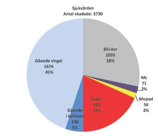 Enligt polisens statistik är 62 procent av de skadade bilister och 30 procent gående och cyklister.