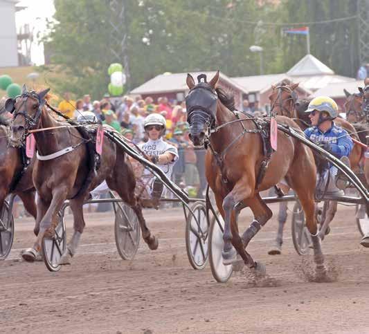 HalmstadTravet