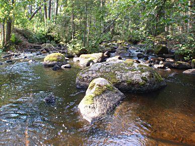 : Medins Havs och Vattenkonsulter AB Vattentemperatur: 17,7 C Analysmetodik: SS-EN 14407 Prov taget från: växt Artanalys: Iréne Sundberg Antal borstade stenar: 0 2015-08-24 Provplats: 0-3 meter