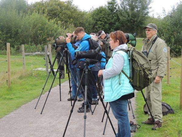 September 22/9 Draglördag Oktober 7/10 Euro BirdWatch day En ospecificerad utflykt där vi samlas tidigt på morgonen och styr kosan dit det är störst chans att hitta lite tyngre rariteter.