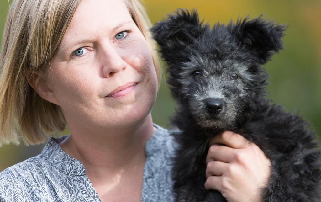 Ditt eget försäkringsbolag! SKADEFRI? Få upp till 20 % lägre premie Sveland Djurförsäkringar är ett kundägt bolag utan vinstintresse från ägarna; våra försäkringstagare.