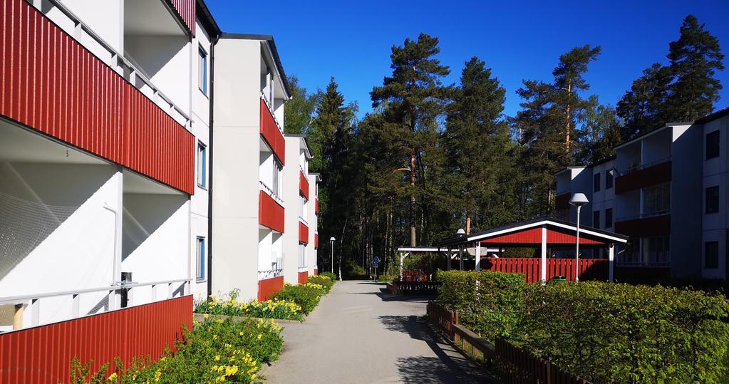 Vi på Berget informationsbrev nr 2/2019 SOMMAR, SOMMAR OCH SOL Studenterna sjunger, fåglarna kvittrar och den kommande ledigheten lockar.