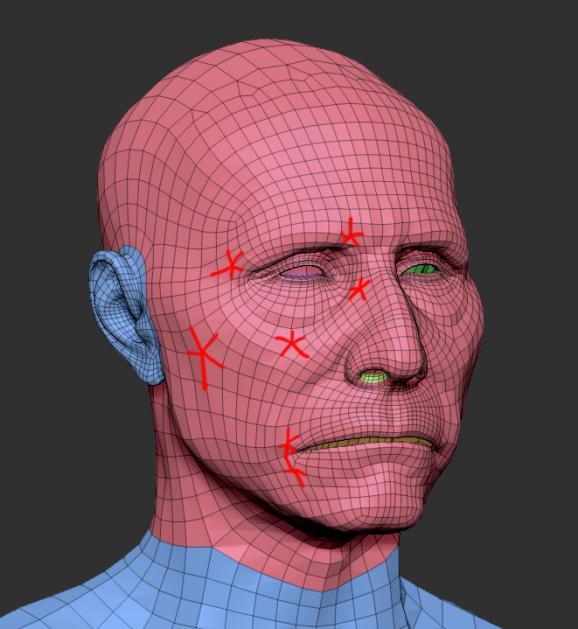 Polygon polerna i ansiktet valdes att placeras på de ställen där minst deformation sker eller på ställen där är enkla att skinna utan att skapa artefakter.