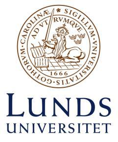 Projektplan 2019-01-11 Avveckling och arkivering av Live@Lund och LUVIT BASINFORMATION Projektnummer: Dnr: Projektägare: <projektnummer tilldelas av projektkontoret.