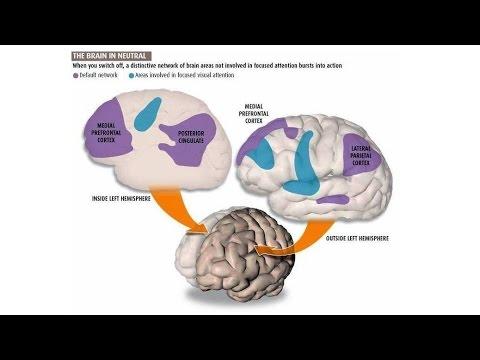 Default Mode Network (DMN) Marcus Raichle hjps://youtu.