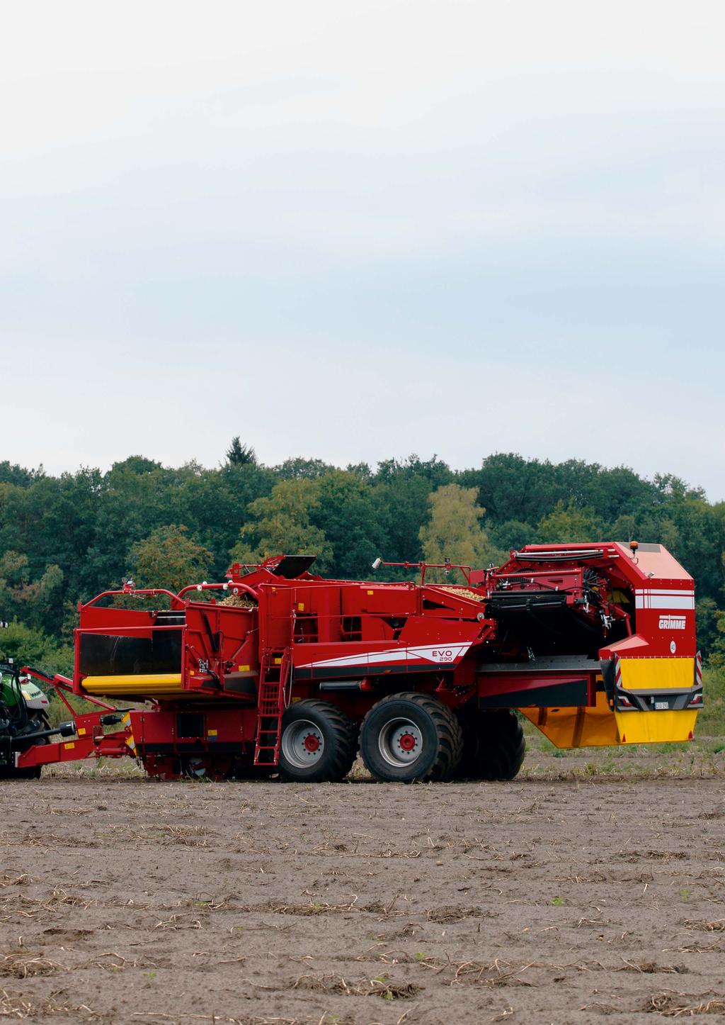 POTATISTEKNIK BETTEKNIK GRÖNSAKSTEKNIK EVO