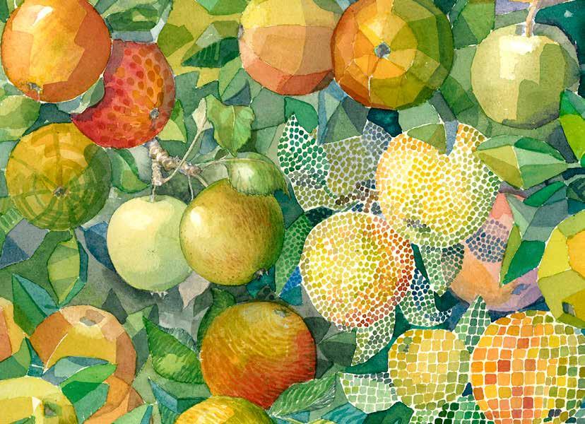 Tema: SKÖRDETID Smaken av ett äpple åkerö (Malus domestica) Åkerö är ett sent höstäpple uppkallat 1858 efter Åkerö Slott utanför Flen, där det äldsta trädet av denna sort växer.