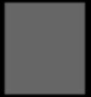 L.2.1 Rutiner för hänglavsinventering Beskrivning av lavgrupperna Fig. L.2.1.4 Grå tagellav (Bryoria capillaris); en av de vanligare arterna, ofta, grå eller gråvit, men kan även vara brun.